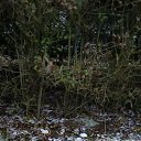  , , 43  -  2  2019   Mobile Uploads