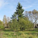 � ������� �� ������ 1 ������� 2018 �. �� ������� ������