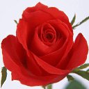 ���� V, ����� - ��������� 25 �������� 2018 � ������ ���� ����������