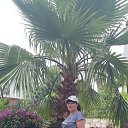 ������. �� ������� ���� ����������