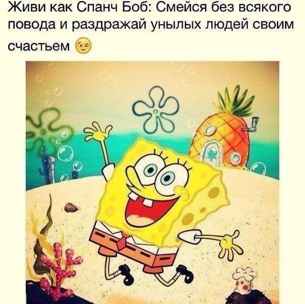    :D - 13  2019  03:35