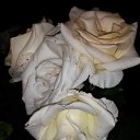 ���� �������, ������ - ��������� 5 ������ 2018 � ������ ���� ����������