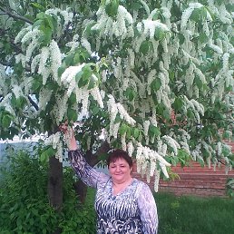 ���� �����, �������, 61 ��� - ��������� 13 ������� 2019