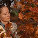 ���� �����, ������, 44 ���� - ��������� 21 ������� 2018 � ������ ���� ����������