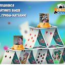 ���� �����, �����, 71 ��� - ��������� 10 ������� 2018 � ������ �������� �������-�������