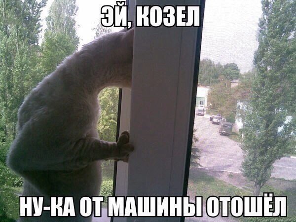 ?