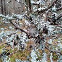 ���� Jurij, ����, 47 ��� - ��������� 5 ������� 2018 � ������ ������ ��������