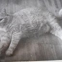   -good, , 43  -  14  2018   