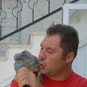 ���� Selo, �������, 49 ��� - ��������� 3 ���� 2019 � ������ ���� ����������