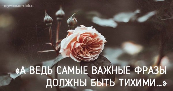 Все важные фото должны быть