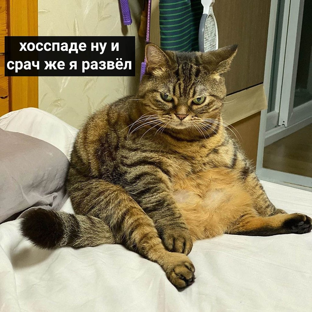       :
