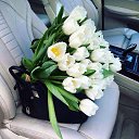 ���� Olya, ���������� - ��������� 17 ��� 2019 � ������ ���� ����������