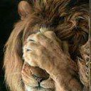 ���� ������, ������������ - ��������� 10 ������ 2019 � ������ ������ ��������