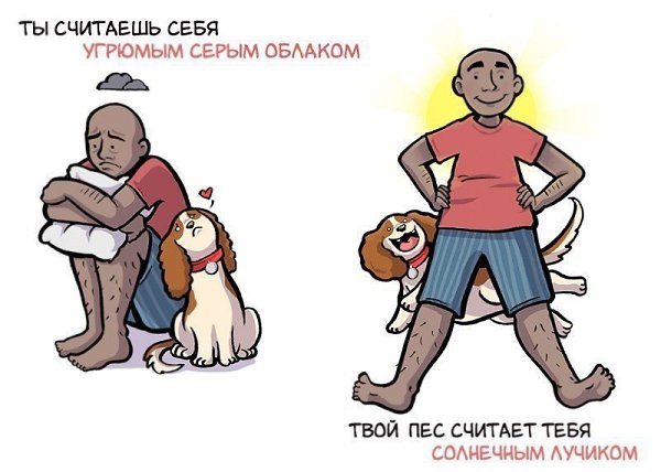 Paзница между тем, как вы cебя видите, и кaк вaс вocпринимaет coбакa