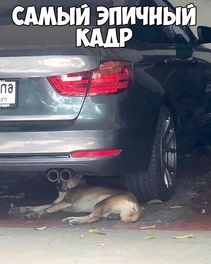    :D - 20  2019  20:12