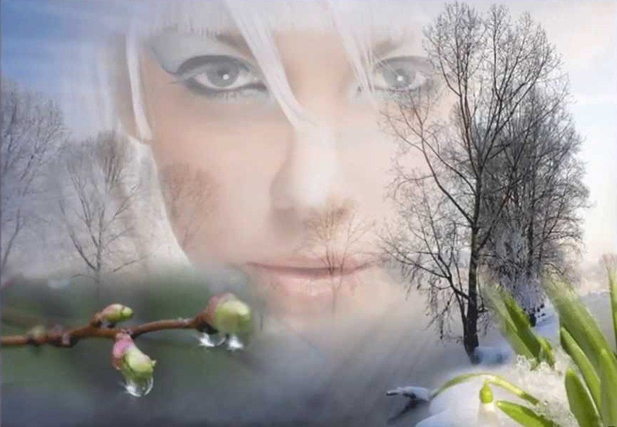 �� �����. �� �����: �����, ��� ����, �����-������, ��� ����, ��� ��������� ���� ����, ��� ����� ...