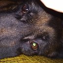 ���� �������, ������, 53 ���� - ��������� 30 ������ 2019 � ������ ���� ����������