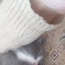 ���� �����, �������������, 58 ��� - ��������� 27 ��� 2019 � ������ ���� ����������