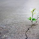  ••,  -  11  2019       ...