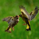 ��������� ���������� �� ������� ���� ����������