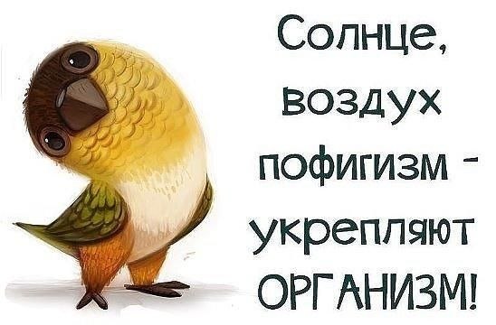✿ܓ☘ ������ ☕ ◕‿◕ ☕ ��������.☘ ✿ܓ - 1 ������� 2019 � 12:11
