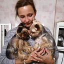 � ���������� �� ������� ���� �������