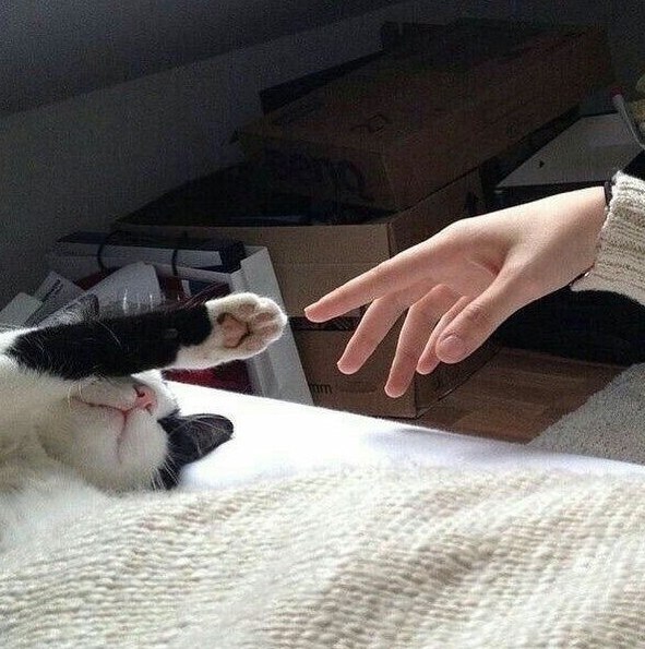  -    - 2