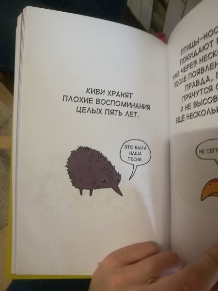   - 4