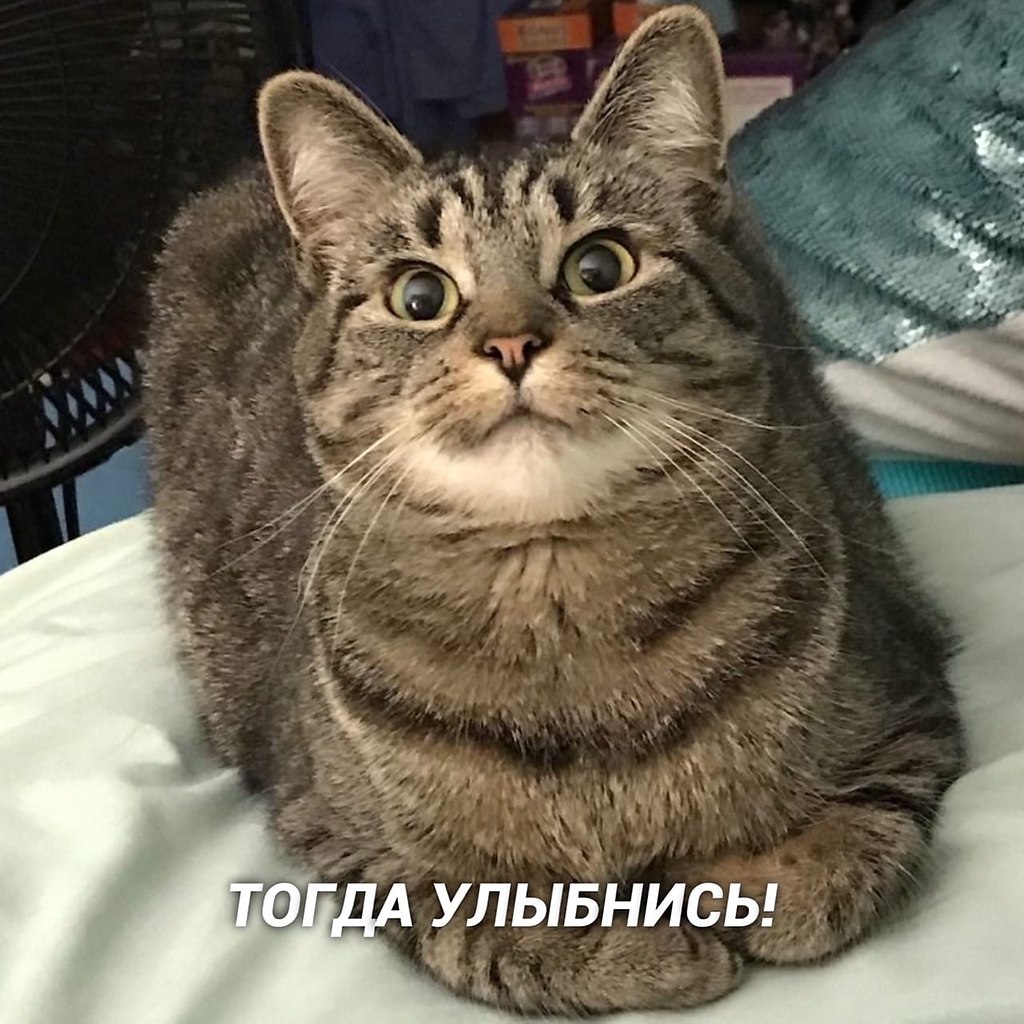    - 3