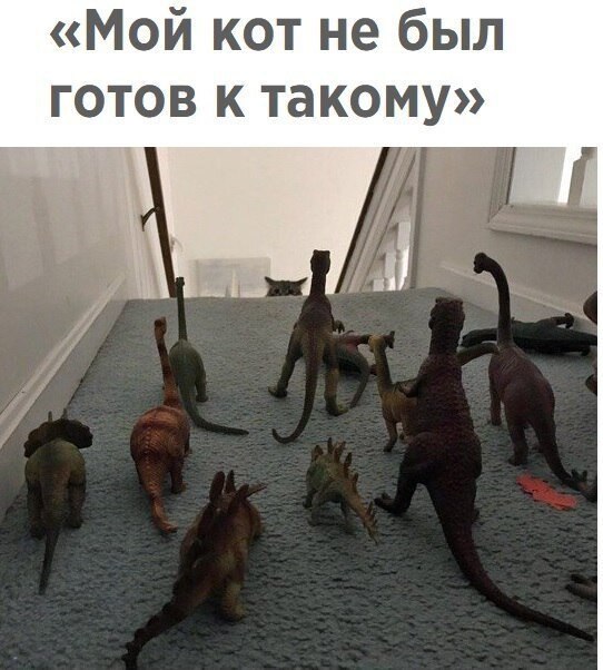    - 1  2019  03:28