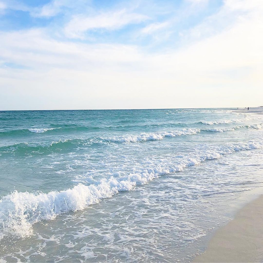 Florida, USA - 6