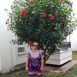 ���� �����, �����-���������, 64 ���� - ��������� 21 ������� 2019