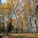  , , 50  -  9  2019    2019