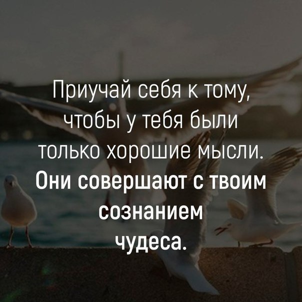    - 4  2019  02:18