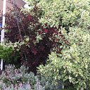  , , 50  -  23  2019      --