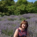 ���� �������, ���� - ��������� 12 ������� 2019 � ������ ���� ����������