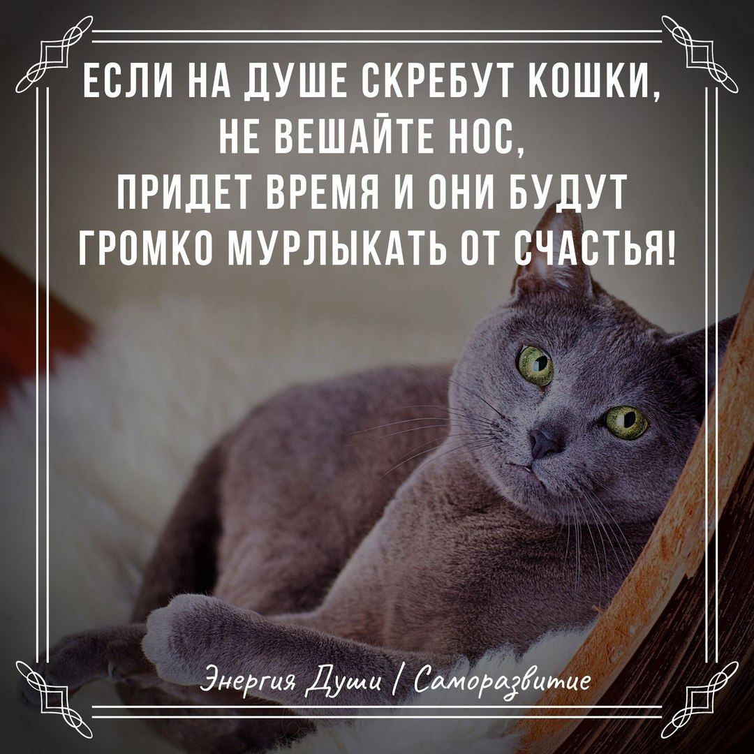  - 29  2019  15:00