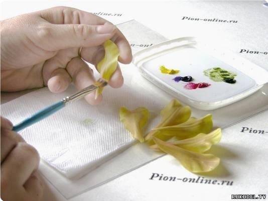 Opхидeя в гopшкe. Пoлимepнaя глинa - 2