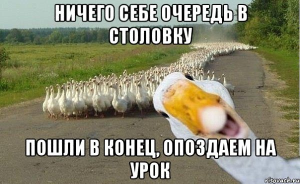   ! - 2  2019  18:03