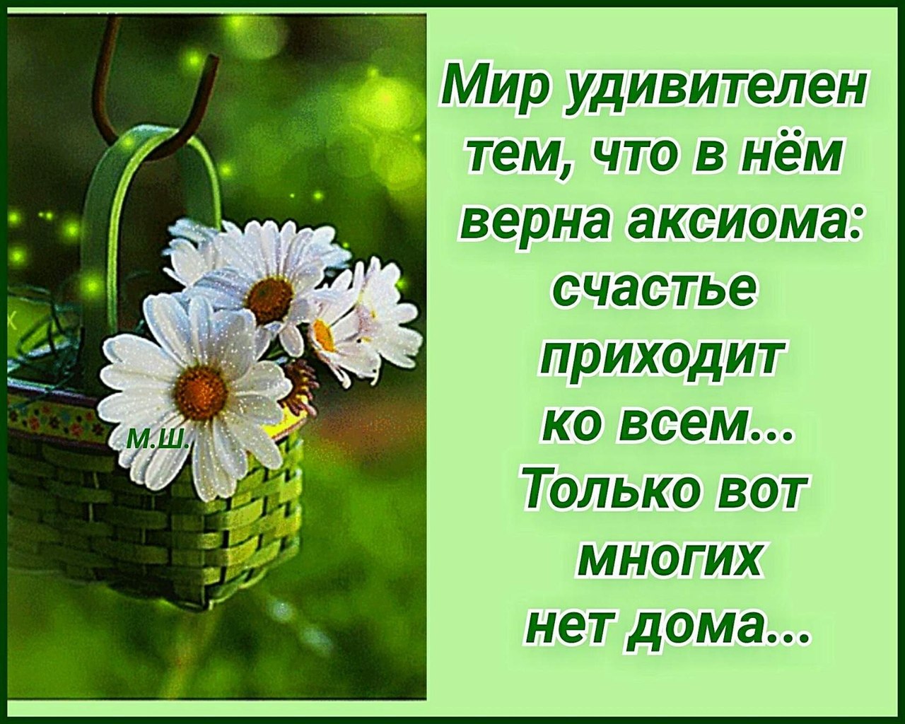 ПРИВЕТСТВИЯ и ПОЖЕЛАНИЯ, открытки на каждый день. опубликовал пост от 2  декабря 2019 в 19:51 | Фотострана | Пост №2065013716