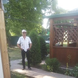 ����, ���������, 62 ����