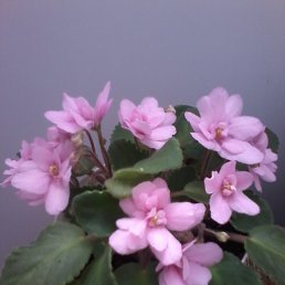 ���� ������, ������� - ��������� 13 ���� 2019