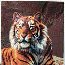 ���� �����, �����, 39 ��� - ��������� 9 ������� 2019 � ������ ������ ��������