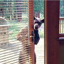 ���� ������, ���������, 57 ��� - ��������� 24 ������ 2019 � ������ ������ ��������