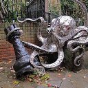  ••,  -  17  2019   &#039;