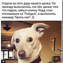���� ����, ������, 66 ��� - ��������� 20 ������� 2019 � ������ ���� ����������
