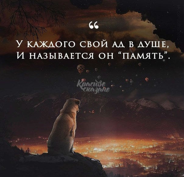   . . . - 1  2019  02:33