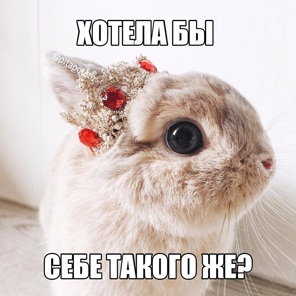   - 1  2019  03:42