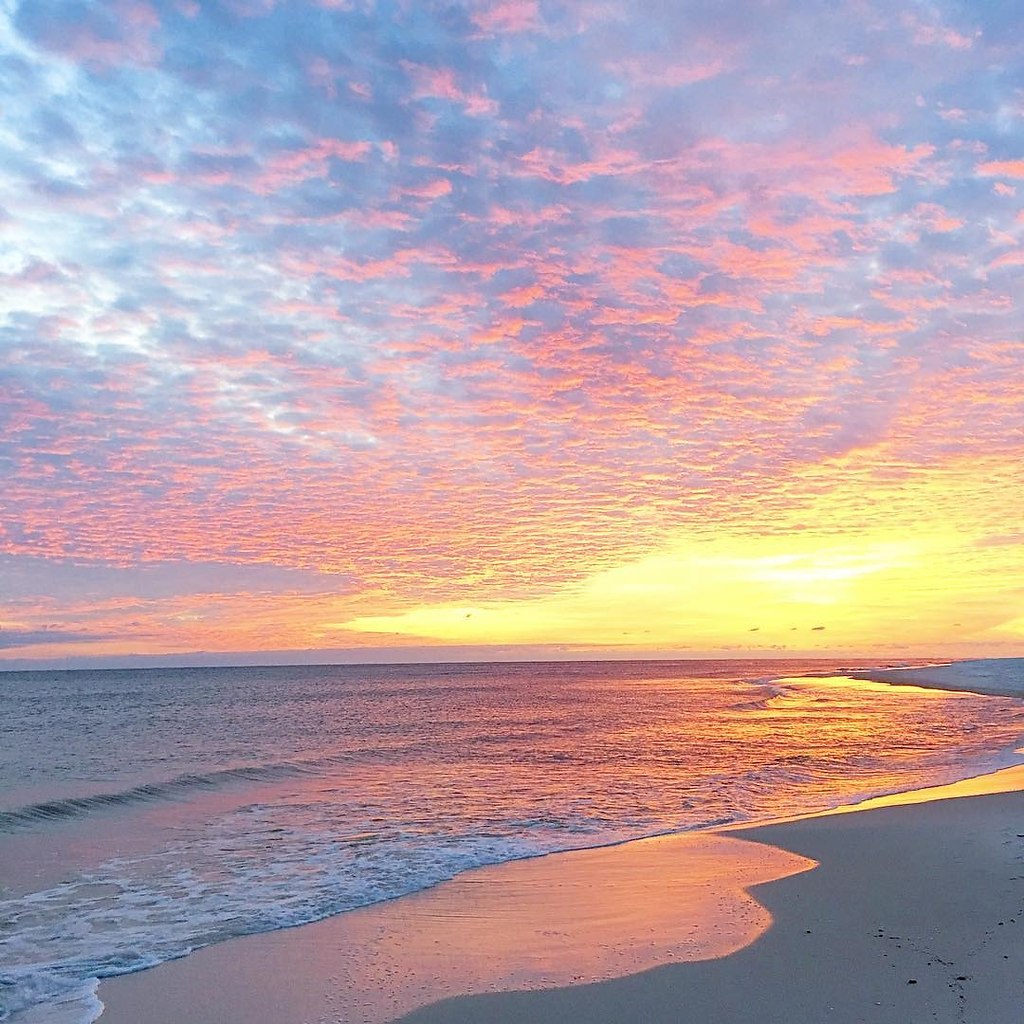 Florida, USA - 2