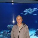 ���� ����� �������, �����, 46 ��� - ��������� 12 ������� 2019 � ������ ���� ����������